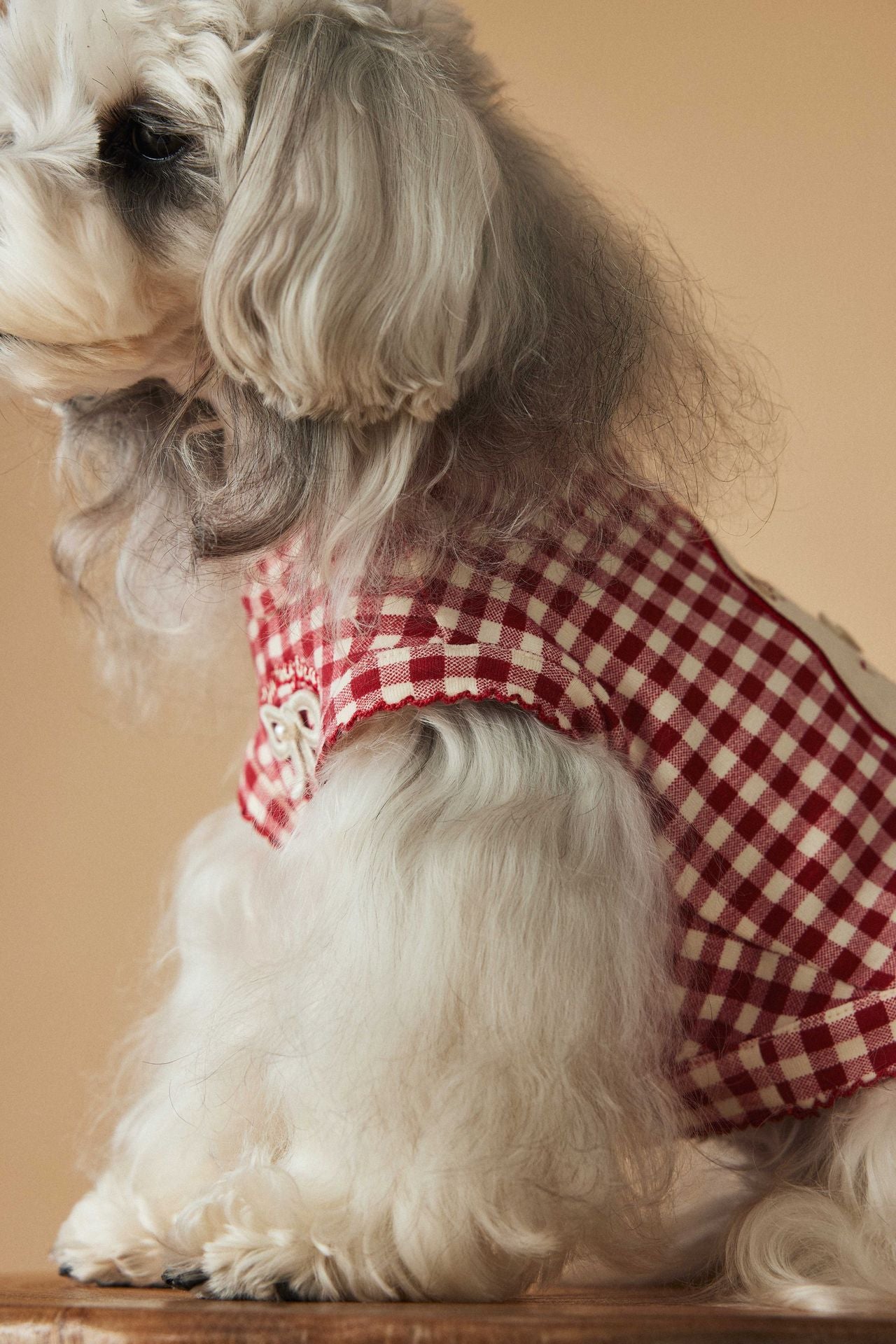 Red Gingham Dog Dress with Bow – Cute Checkered Outfit for Small Dogs