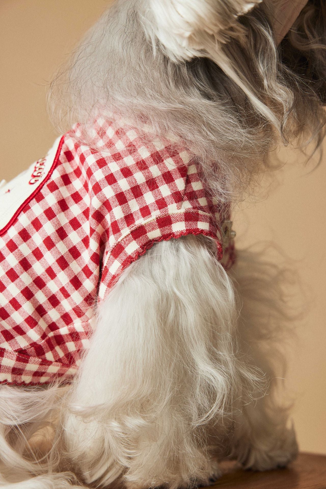 Red Gingham Dog Dress with Bow – Cute Checkered Outfit for Small Dogs