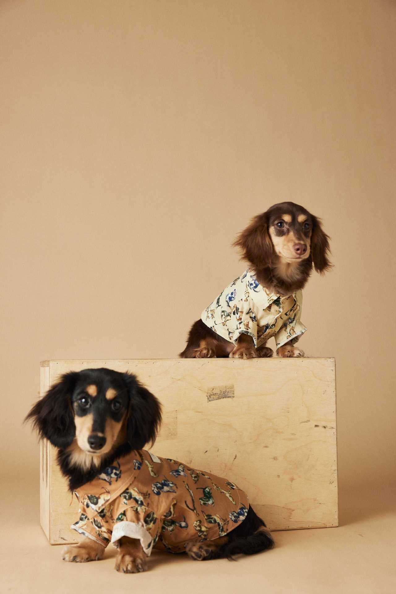 Dress Shirt with Print