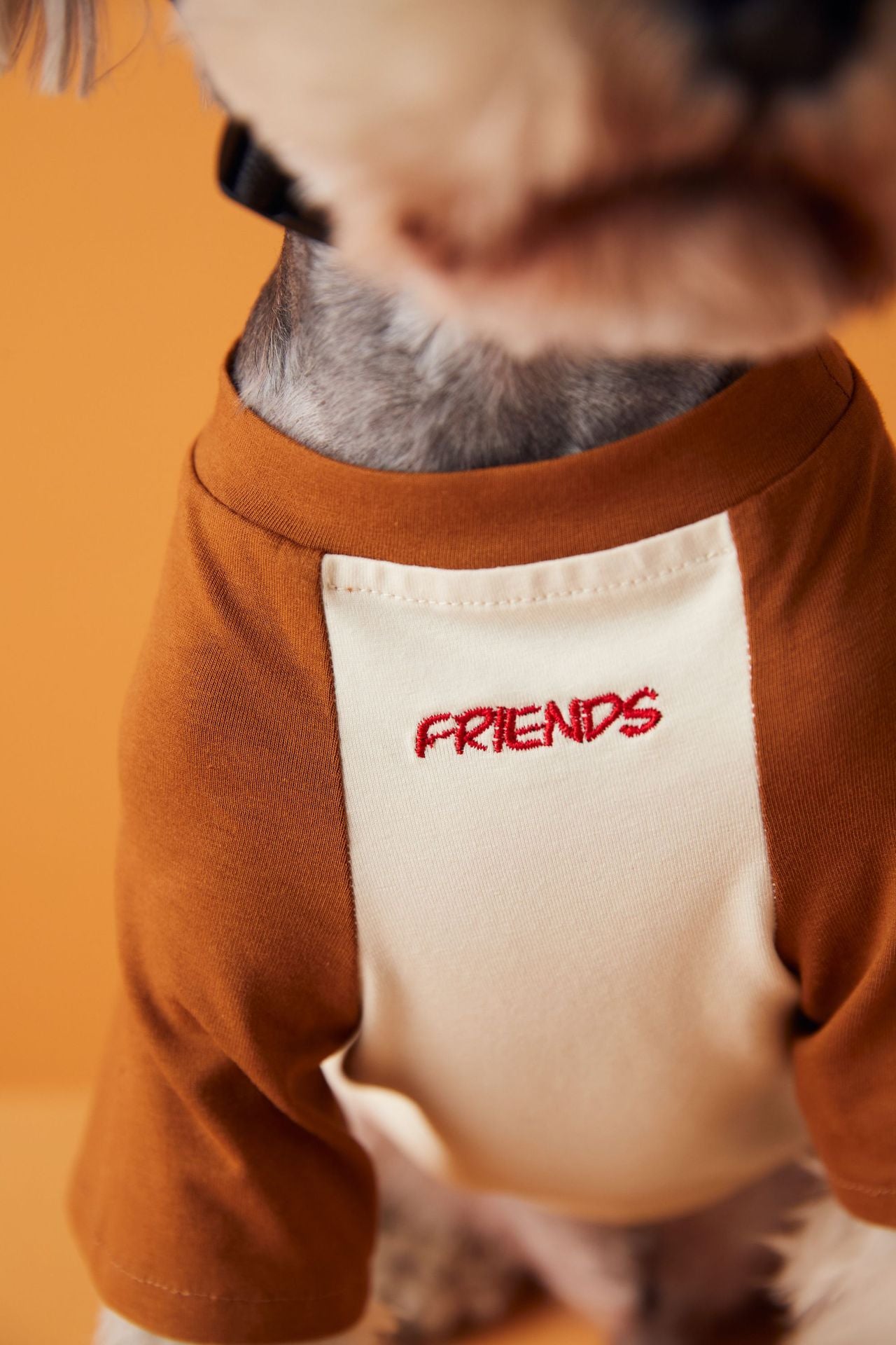 Animal Patent Embroider T-Shirt