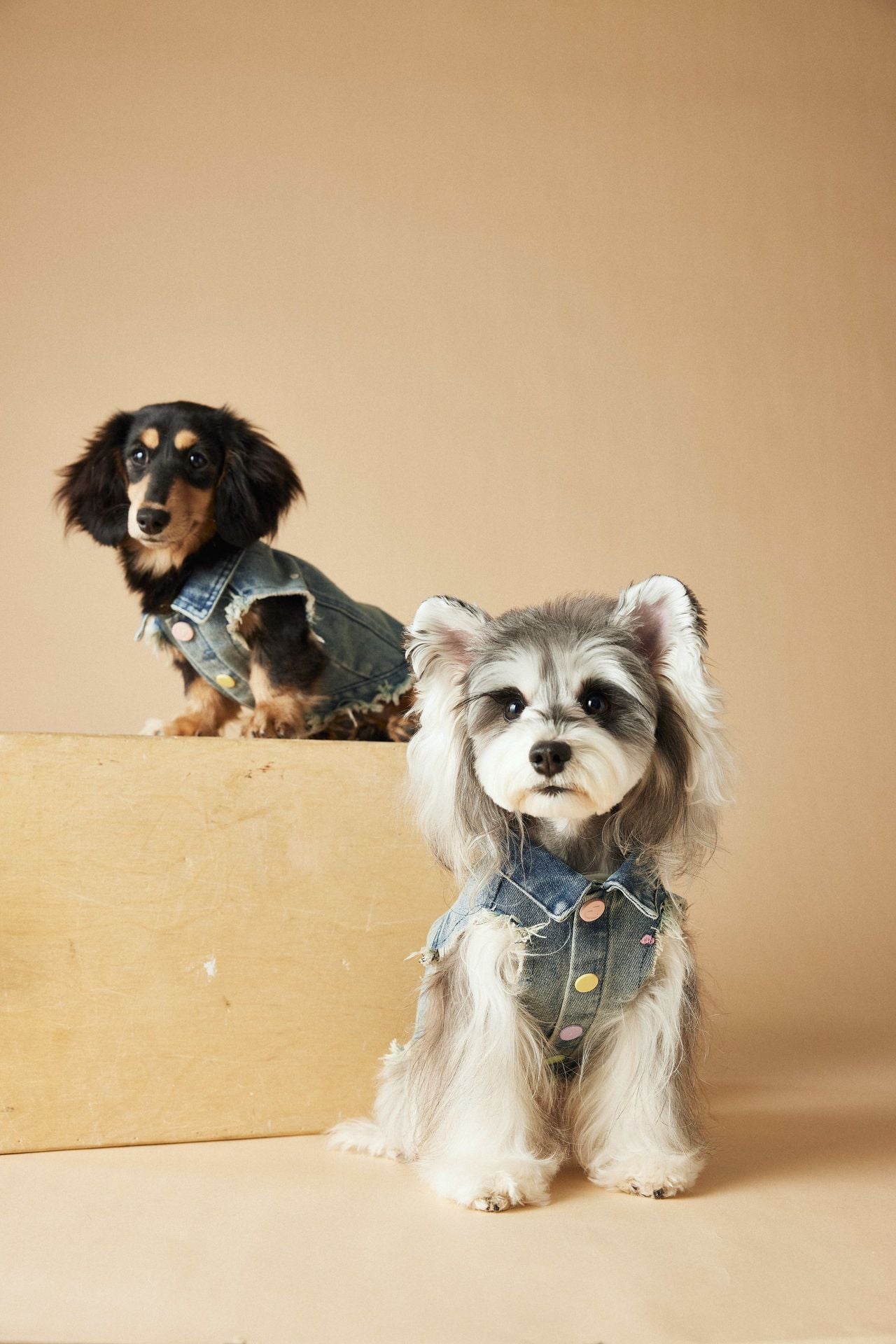 Pet Sleeveless Denim Jacket with D ring